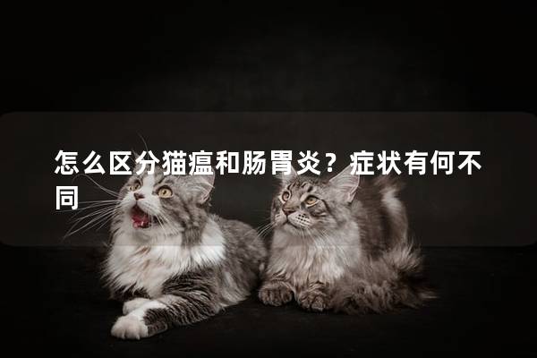 怎么区分猫瘟和肠胃炎？症状有何不同