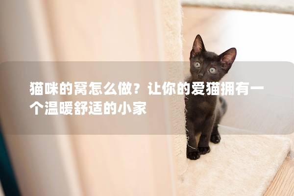 猫咪的窝怎么做？让你的爱猫拥有一个温暖舒适的小家