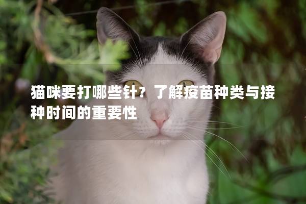 猫咪要打哪些针？了解疫苗种类与接种时间的重要性
