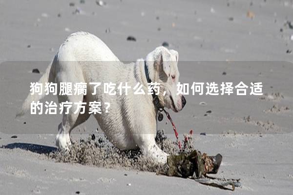 狗狗腿瘸了吃什么药，如何选择合适的治疗方案？