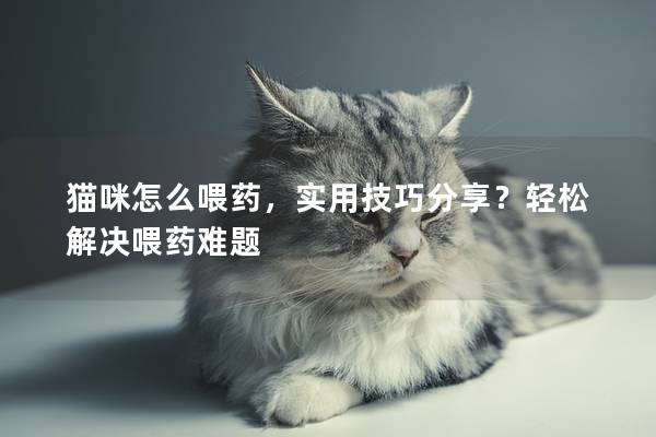 猫咪怎么喂药，实用技巧分享？轻松解决喂药难题