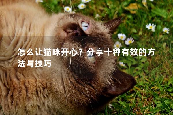 怎么让猫咪开心？分享十种有效的方法与技巧
