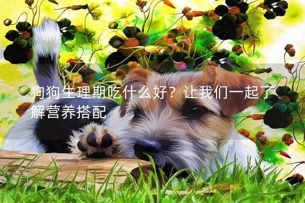 狗狗生理期吃什么好？让我们一起了解营养搭配