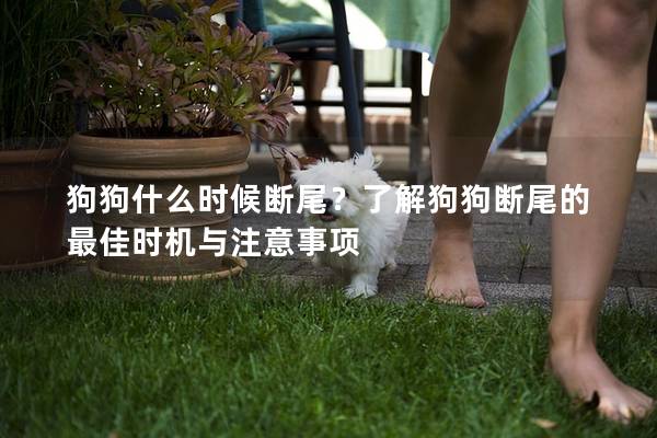 狗狗什么时候断尾？了解狗狗断尾的最佳时机与注意事项