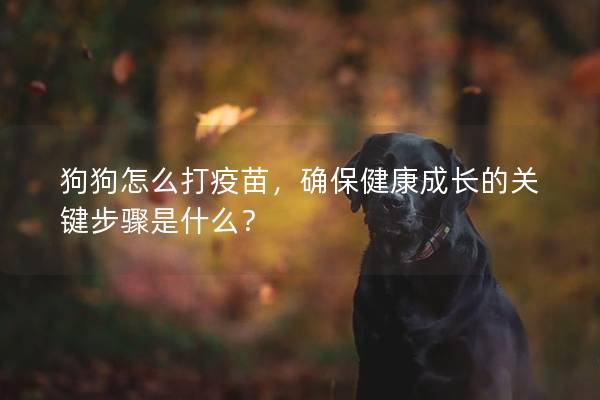 狗狗怎么打疫苗，确保健康成长的关键步骤是什么？