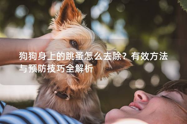 狗狗身上的跳蚤怎么去除？有效方法与预防技巧全解析