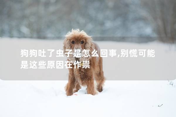 狗狗吐了虫子是怎么回事,别慌可能是这些原因在作祟