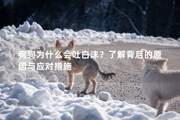 狗狗为什么会吐白沫？了解背后的原因与应对措施