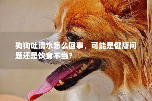 狗狗吐清水怎么回事，可能是健康问题还是饮食不当？