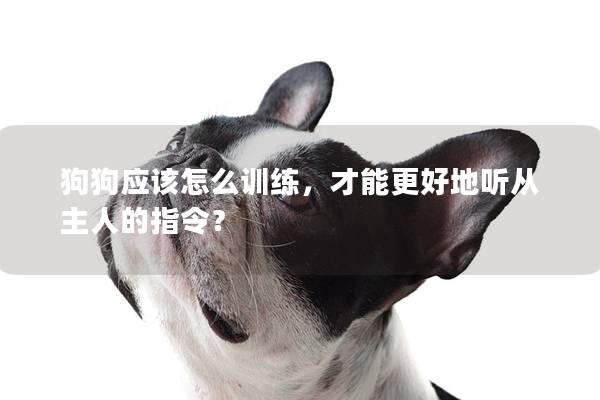 狗狗应该怎么训练，才能更好地听从主人的指令？