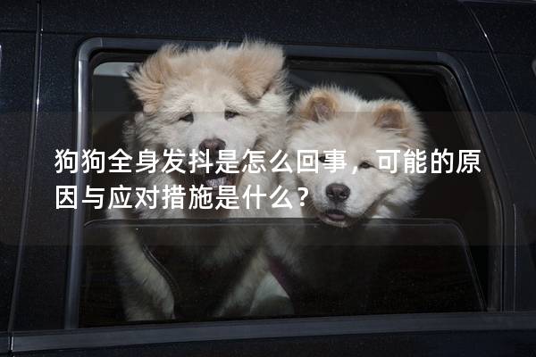 狗狗全身发抖是怎么回事，可能的原因与应对措施是什么？