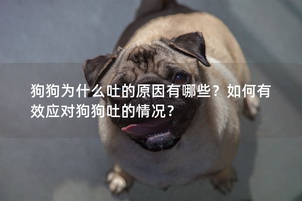 狗狗为什么吐的原因有哪些？如何有效应对狗狗吐的情况？