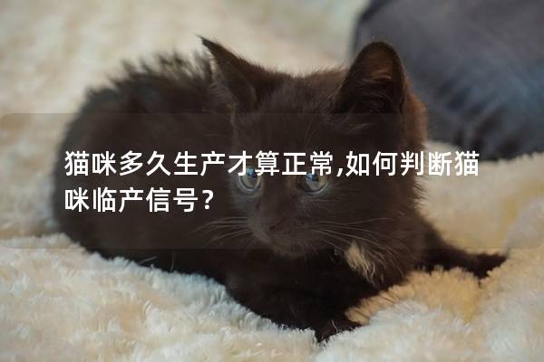 猫咪多久生产才算正常,如何判断猫咪临产信号？