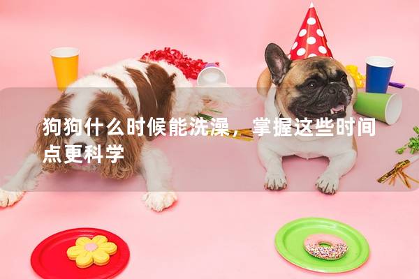 狗狗什么时候能洗澡，掌握这些时间点更科学