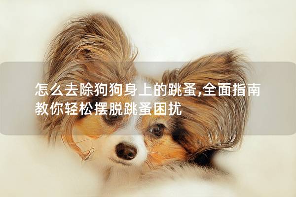 怎么去除狗狗身上的跳蚤,全面指南教你轻松摆脱跳蚤困扰