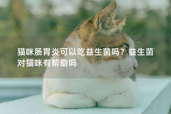猫咪肠胃炎可以吃益生菌吗？益生菌对猫咪有帮助吗