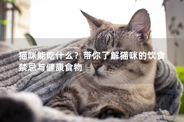 猫咪能吃什么？带你了解猫咪的饮食禁忌与健康食物