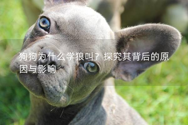 狗狗为什么学狼叫？探究其背后的原因与影响
