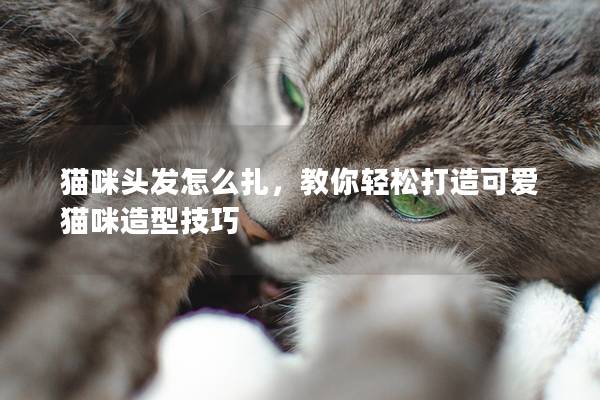 猫咪头发怎么扎，教你轻松打造可爱猫咪造型技巧