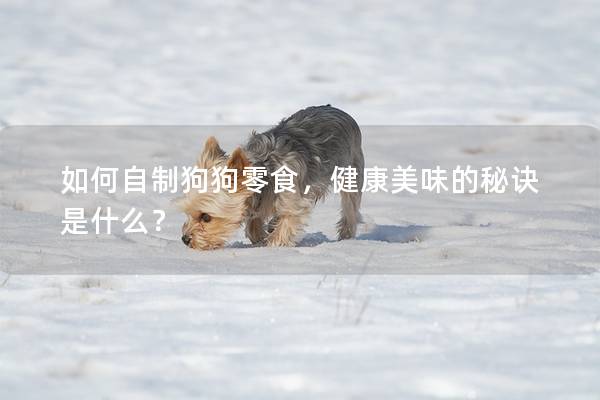 如何自制狗狗零食，健康美味的秘诀是什么？