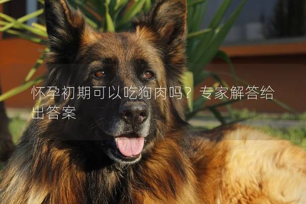 怀孕初期可以吃狗肉吗？专家解答给出答案