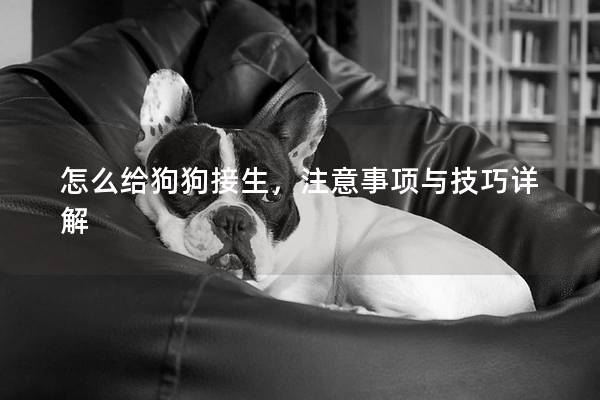 怎么给狗狗接生，注意事项与技巧详解