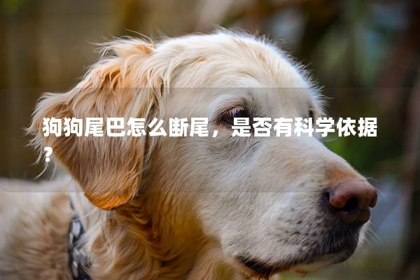 狗狗尾巴怎么断尾，是否有科学依据？