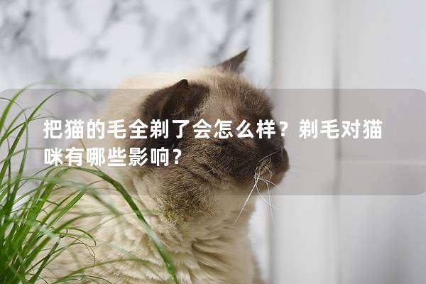 把猫的毛全剃了会怎么样？剃毛对猫咪有哪些影响？