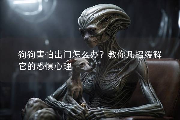 狗狗害怕出门怎么办？教你几招缓解它的恐惧心理