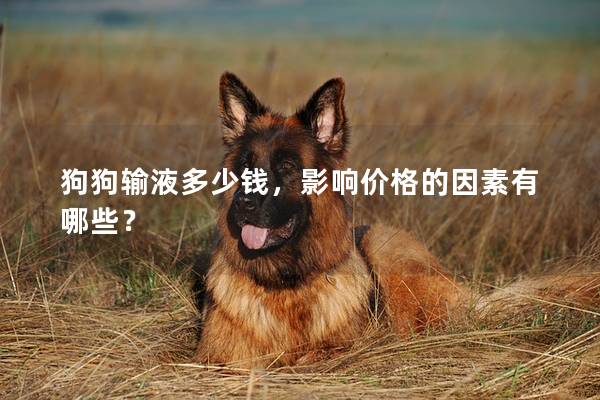 狗狗输液多少钱，影响价格的因素有哪些？