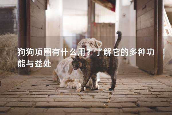 狗狗项圈有什么用？了解它的多种功能与益处