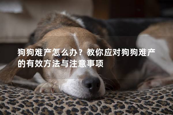 狗狗难产怎么办？教你应对狗狗难产的有效方法与注意事项