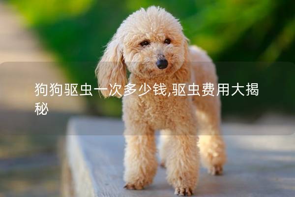 狗狗驱虫一次多少钱,驱虫费用大揭秘