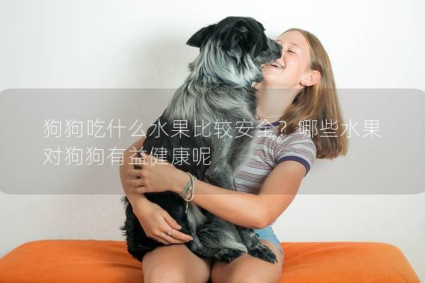 狗狗吃什么水果比较安全？哪些水果对狗狗有益健康呢