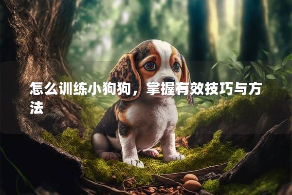 怎么训练小狗狗，掌握有效技巧与方法