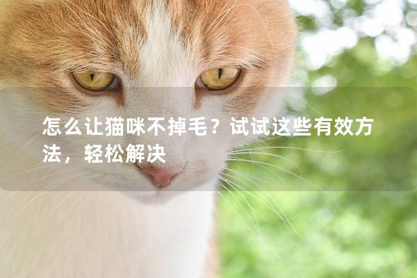 怎么让猫咪不掉毛？试试这些有效方法，轻松解决