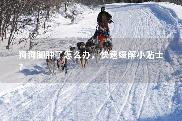 狗狗脚肿了怎么办，快速缓解小贴士？