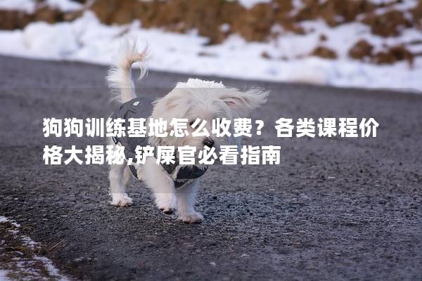 狗狗训练基地怎么收费？各类课程价格大揭秘,铲屎官必看指南