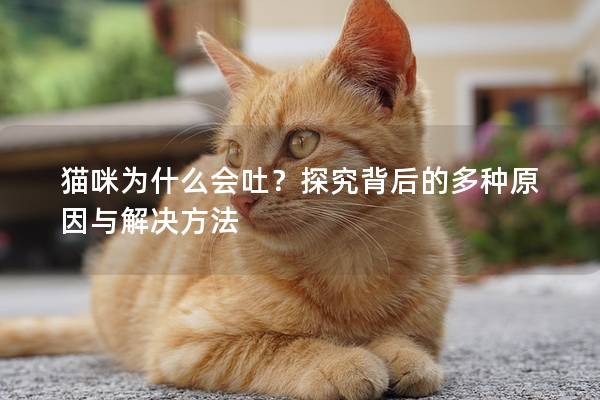 猫咪为什么会吐？探究背后的多种原因与解决方法