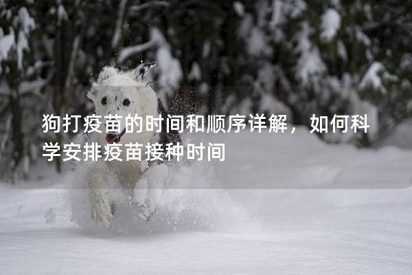 狗打疫苗的时间和顺序详解，如何科学安排疫苗接种时间