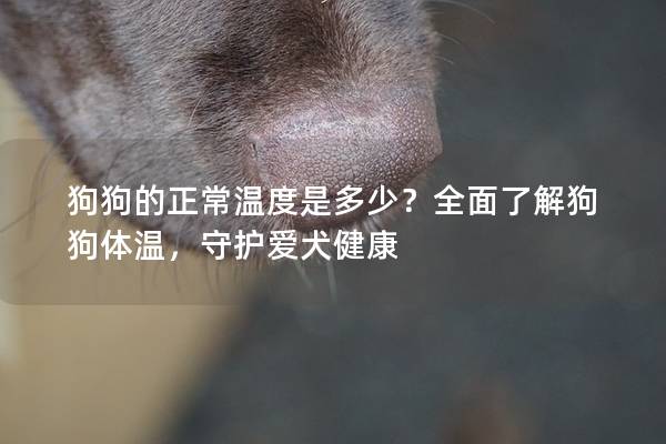 狗狗的正常温度是多少？全面了解狗狗体温，守护爱犬健康