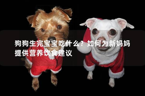 狗狗生完宝宝吃什么？如何为新妈妈提供营养饮食建议