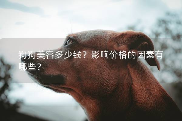 狗狗美容多少钱？影响价格的因素有哪些？