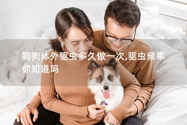 狗狗体外驱虫多久做一次,驱虫频率你知道吗