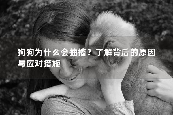 狗狗为什么会抽搐？了解背后的原因与应对措施