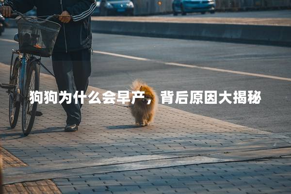 狗狗为什么会早产，背后原因大揭秘