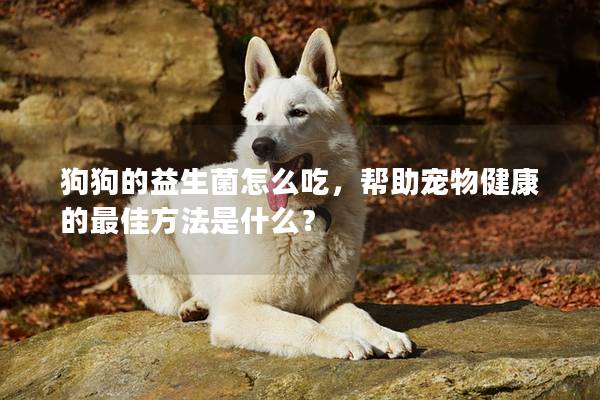 狗狗的益生菌怎么吃，帮助宠物健康的最佳方法是什么？