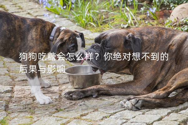 狗狗吃糖会怎么样？你绝对想不到的后果与影响