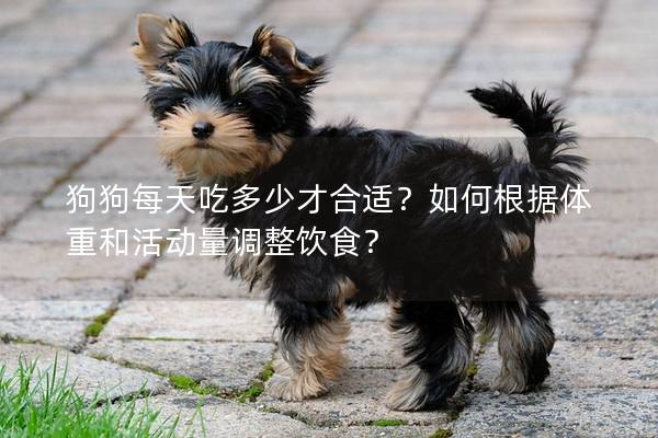 狗狗每天吃多少才合适？如何根据体重和活动量调整饮食？