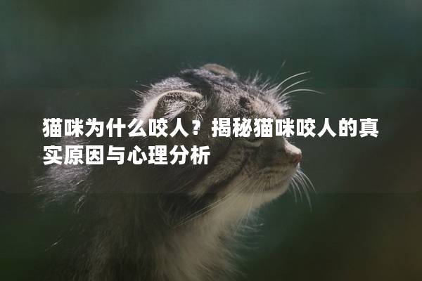 猫咪为什么咬人？揭秘猫咪咬人的真实原因与心理分析